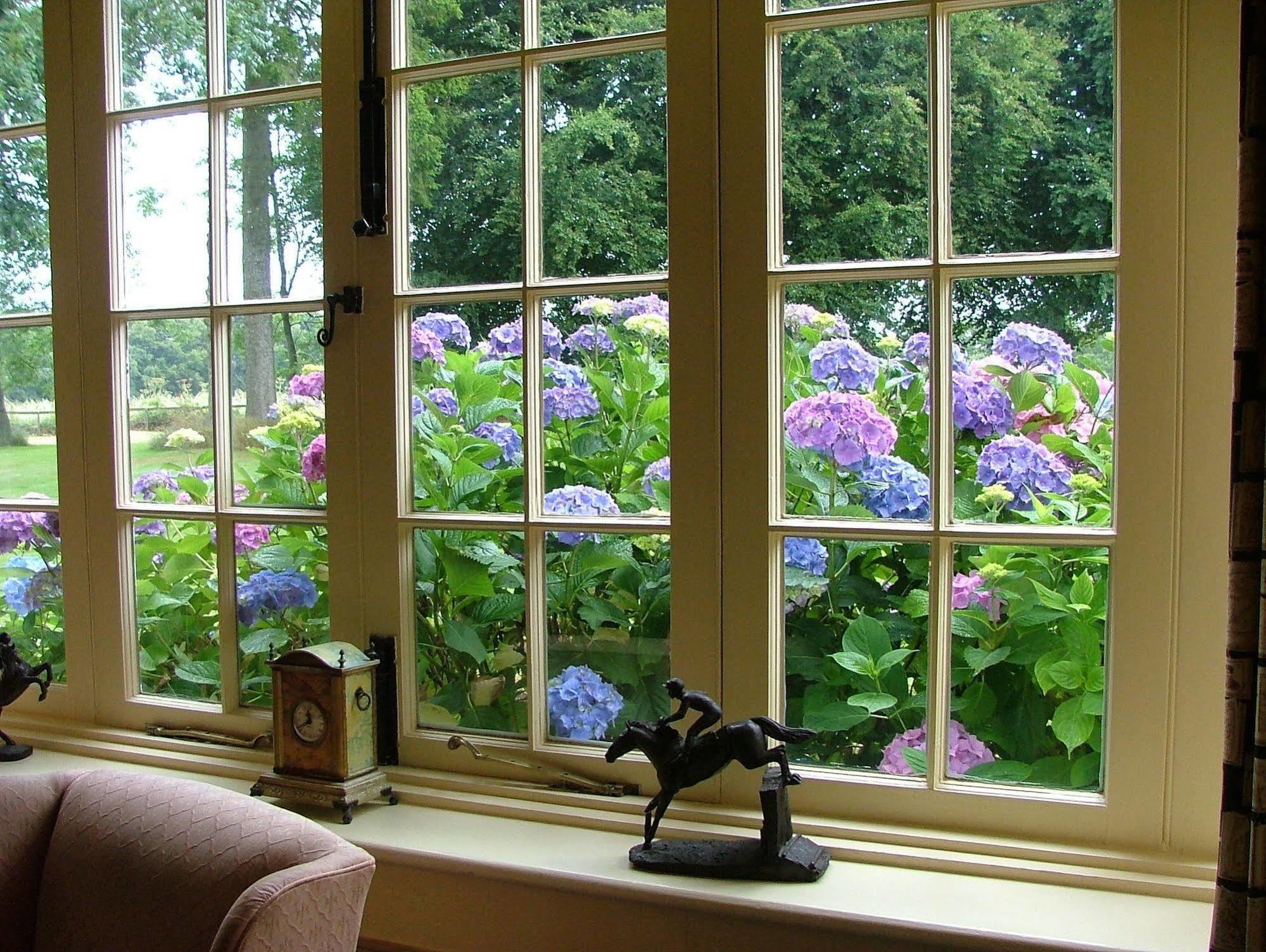 Esseborne Manor Otel Hurstbourne Tarrant Dış mekan fotoğraf